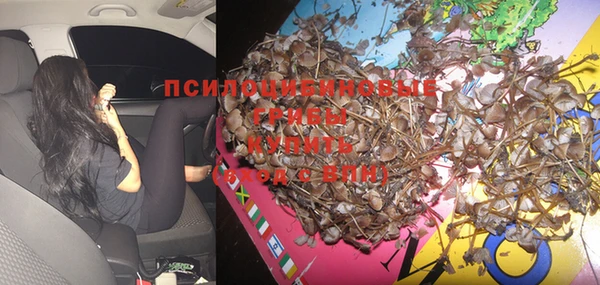 прущие грибы Балахна