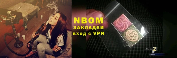 прущие грибы Балахна