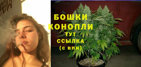 прущие грибы Балахна