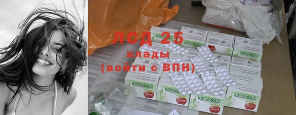 прущие грибы Балахна