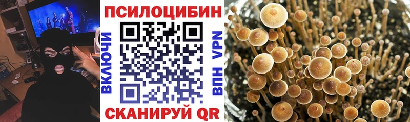 Псилоцибиновые грибы мицелий  ссылка на мегу ссылка  Бирюч 